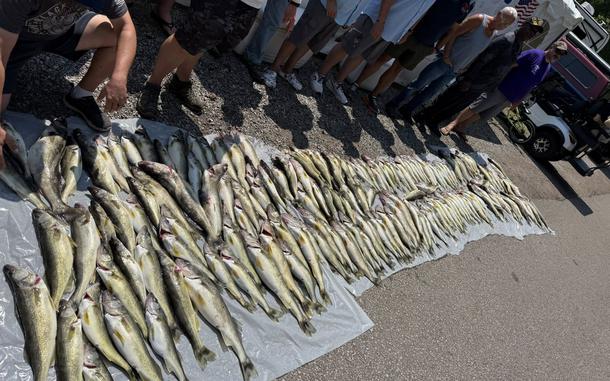 Fish is spread out on the ground. 
