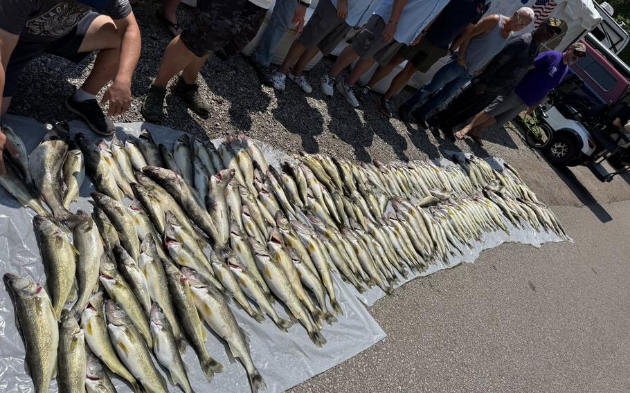 Fish is spread out on the ground. 