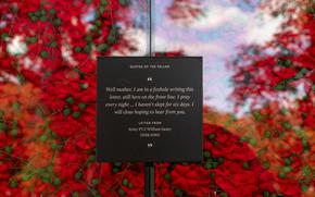 A dark placard seen against many red poppy flowers.