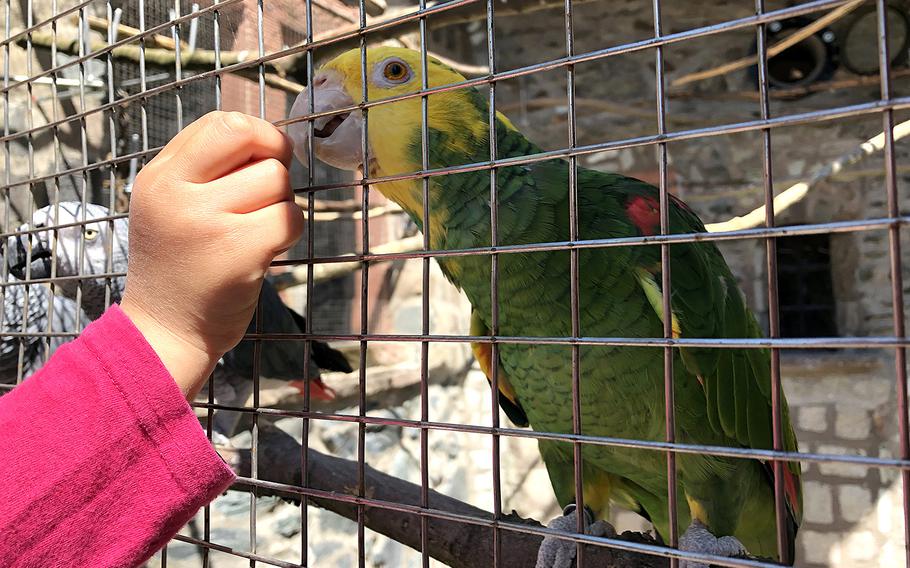 A child feeds a bird at Vogelburg, a refuge for exotic birds in Weilrod, Germany. The park is about 45 minutes north of the U.S. Army garrison in Wiesbaden.