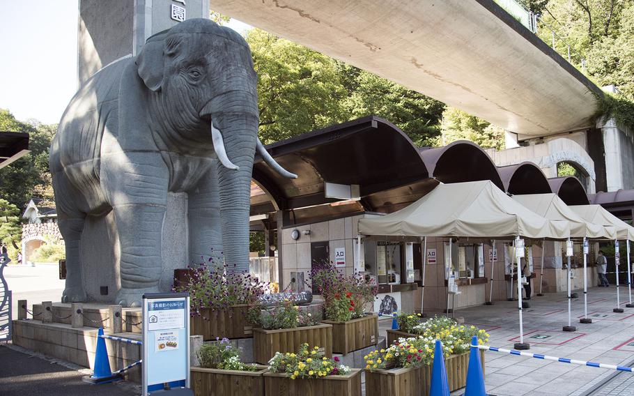 Tama Zoological Park in Hino, Tokyo, was established in 1958 as a branch of Ueno Zoo in the city center.