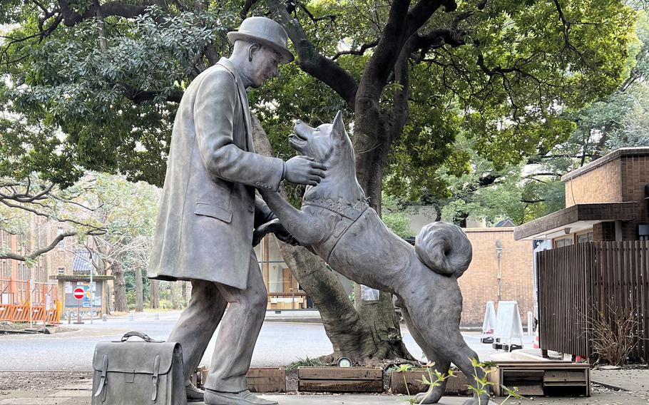 This statue of Hachiko with his owner was dedicated at the University of Tokyo on March 8, 2015, marking the 80th anniversary of Hachiko’s death.