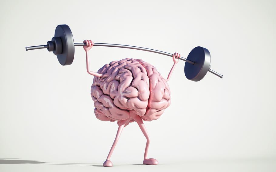 Brain building. Тренировка мозга обои. Мозг поднимает штангу картинка. Тренируем мозг иллюстрация. Human Brain Lifting Weight.