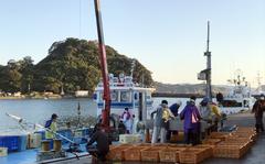 Meitsu Port in Japan’s Miyazaki prefecture is the home of pole-fished bonito, known locally as katsuo.
