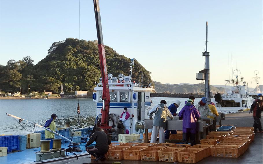 Meitsu Port in Japan’s Miyazaki prefecture is the home of pole-fished bonito, known locally as katsuo.