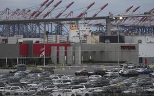 Cars in storage at the port.