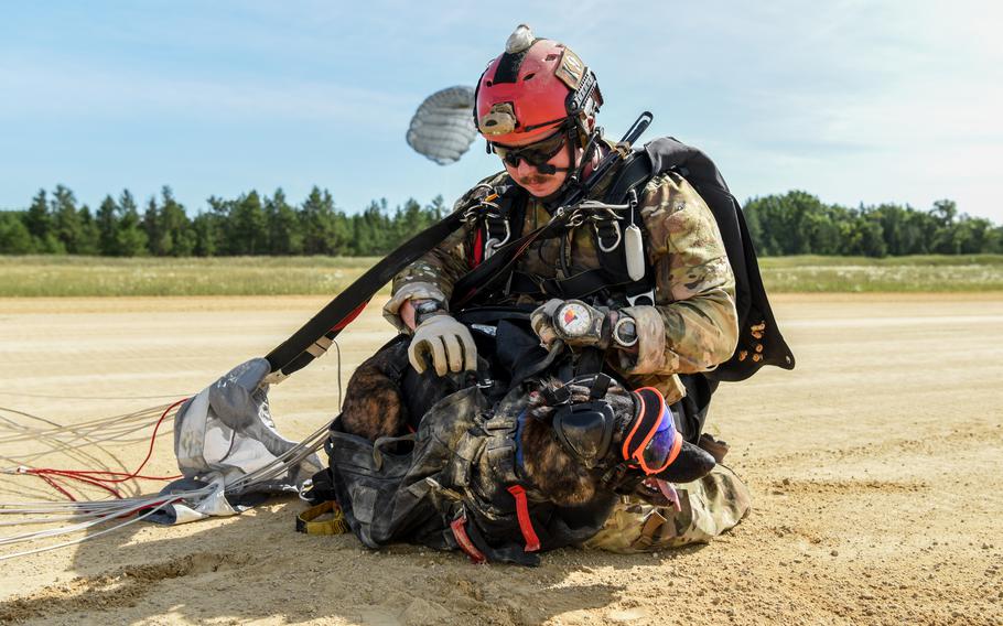 A handler embraces its dog