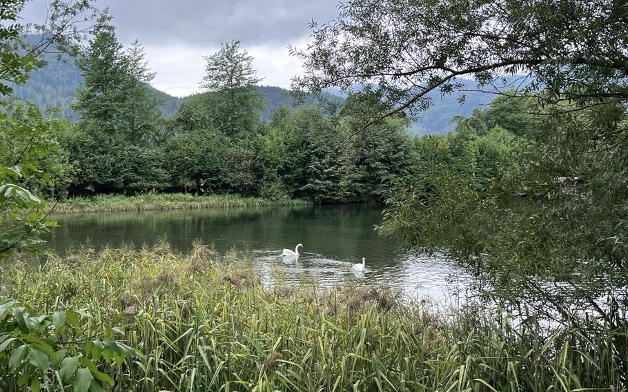 The beer trail through Gaming offers great views while guiding travelers to the town's best spots for a quick drink. This pond is one of the stops along the way. Hikers can stop and grab a beer from the well next to the pond. 