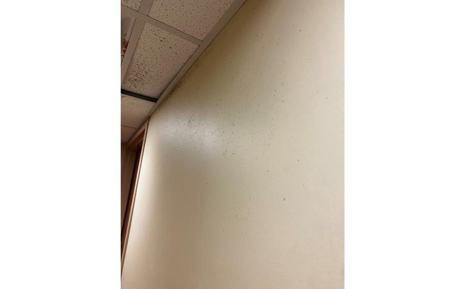 Nearly 1,200 soldiers at Fort Bragg, N.C., are being relocated from barracks deemed unsafe because of mold growth in rooms. However, mold is also growing in rooms of the buildings to which they are being relocated. 