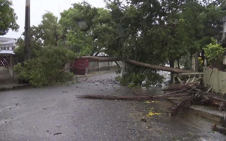 A tree lays across a street in Quelimane, Mozambique, Sunday, March 12, 2023. Record-breaking Cyclone Freddy made its second landfall in Mozambique Saturday night, pounding the southern African nation with heavy rains and disrupting transport and telecommunications services.