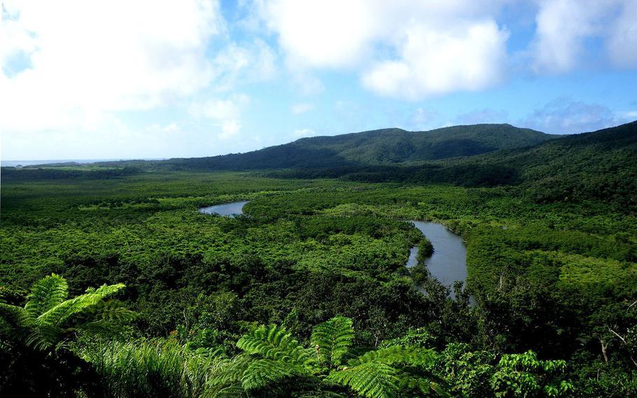 Iriomote Island in Okinawa prefecture, Japan, is renowned for its untouched forest, stunning vistas and unique species.