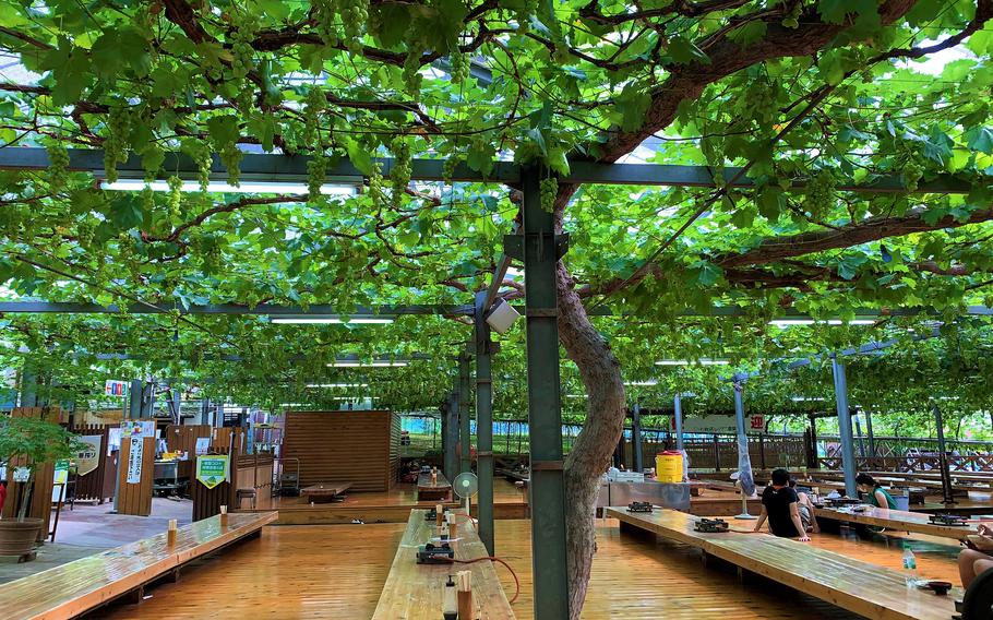 The outdoor dining space at Komatsuzawa Leisure Farm in Saitama prefecture, Japan. 