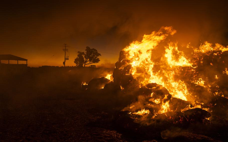 Farmer Greg Younghusband burns approximately 130 bales of hay that have been destroyed by mice near Gilgandra, NSW, Australia, on May 26, 2021.