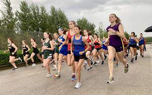 Eight schools competed in Saturday's cross country race hosted by Naples. Isabella Lyon of Sigonella was the top girls finisher with Natalia MiMatteo of American Overseas School of Rome and Kayla Lubba of Vicenza coming in second and third, respectively. 
