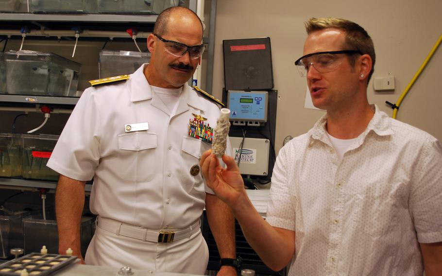 Rear Adm. Mark D. Guadagnini, deputy commander for Fleet Management and chief of staff for U.S. Fleet Forces Command, listens as research scientist Shane Stafslein explains about barnacle growth, Aug. 11, 2011, during Fargo Navy Week. Guadagnini died early last month at 64.