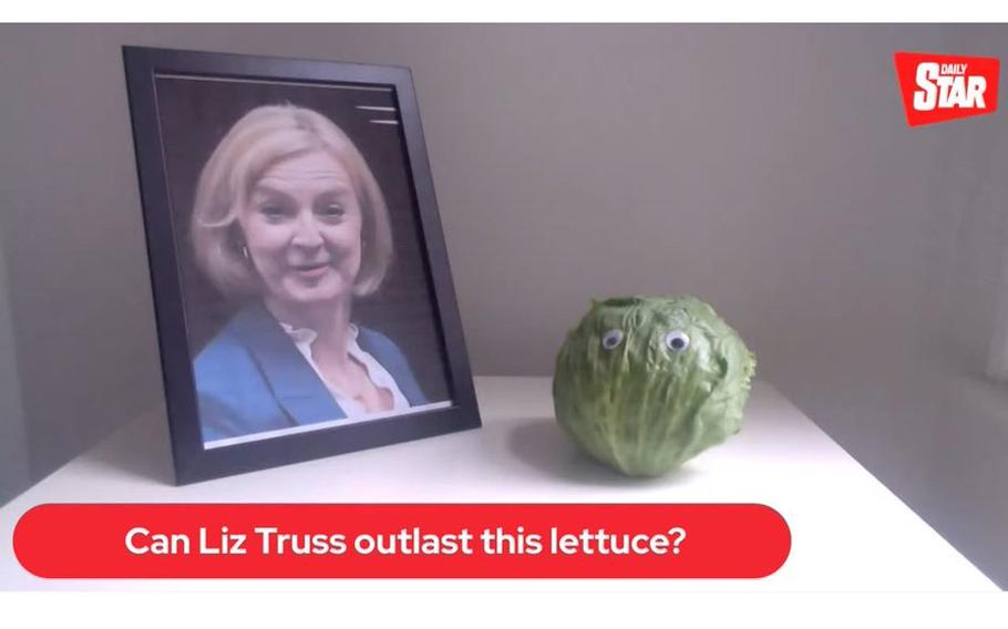 As the woes of Liz Truss multiplied, with astonishing speed, the tabloid newspaper Daily Star pointed a webcam at a head of lettuce and asked readers to monitor whether the lettuce would last longer than the prime minister. The lettuce won.