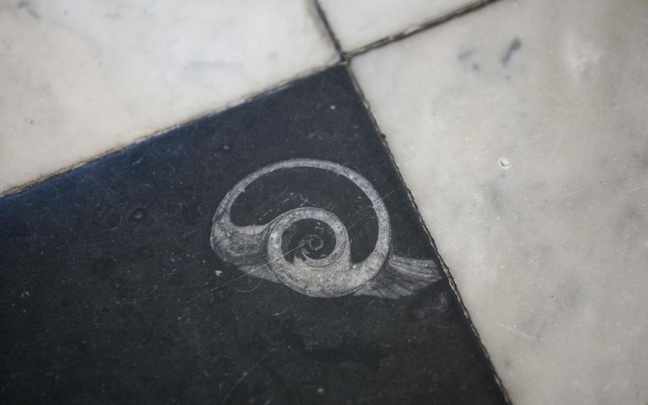 A fossil of an ammonite, a cephalopod that went extinct 66 million years ago, in one of the floor tiles at the Masonic Temple in Philadelphia.