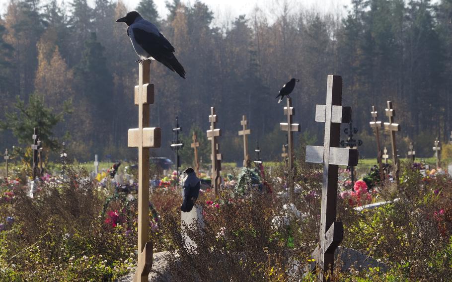 Crows sit on grave crosses in the section of a cemetery reserved for coronavirus victims in Kolpino, outside St. Petersburg, Russia, Tuesday, Oct. 12, 2021. Russia hit another record of daily coronavirus deaths Tuesday as the country struggled with a rapid surge of infections and lagging vaccination rates, but authorities have been adamant that there would be no new national lockdown.