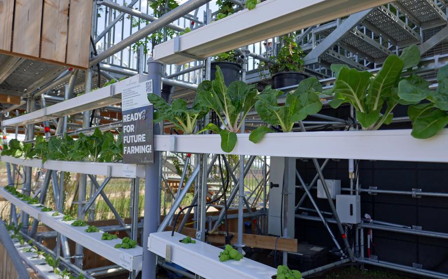 A display at the Bundesgartenschau in Mannheim, Germany, shows a sustainable way to grow herbs and vegetables. The focus of Germany’s federal horticulture show is gardens, flowers, sustainability and the environment.