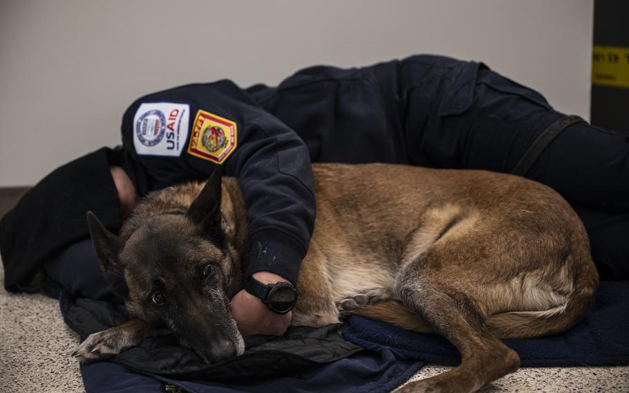 An Urban Search and Rescue member from Fairfax County, Va., rests with her dog prior to boarding a C-17 Globemaster III at Dover Air Force Base, Del., on Feb. 7, 2023.