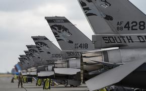 Fighter aircraft are parked in a row on an airfield.