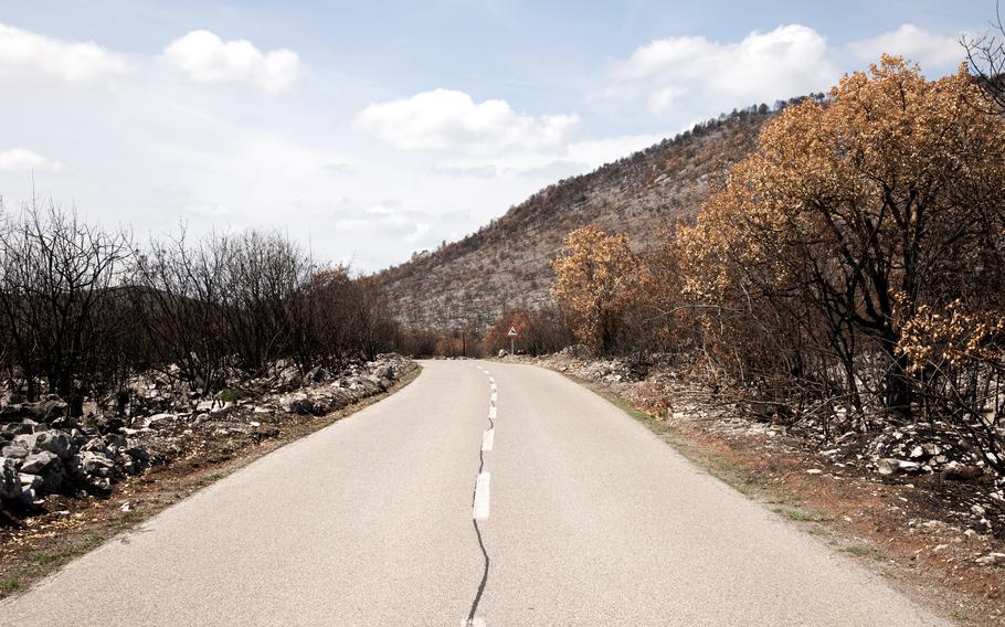 The aftermath of the fires near Brestovica pri Komnu, Slovenia, in August 2022. 