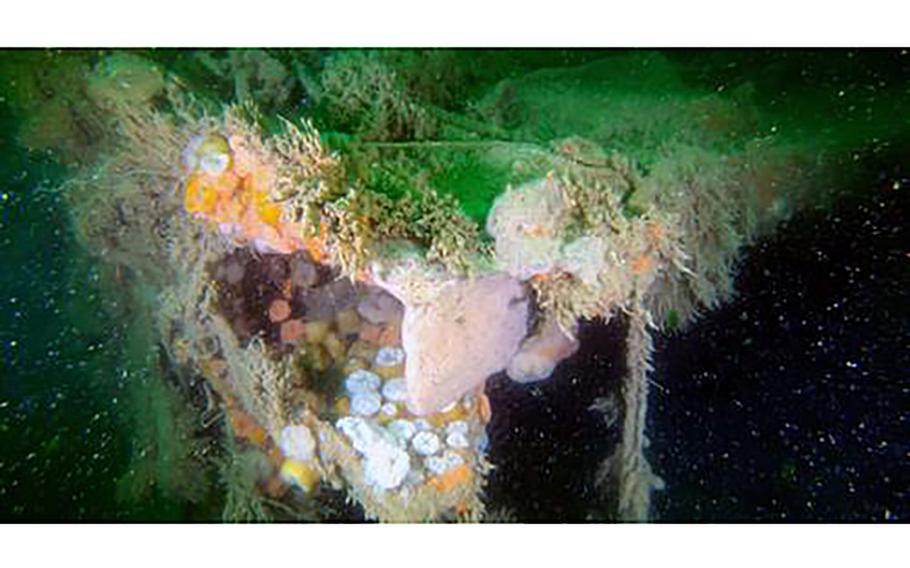 Marine growth is seen on some of the deck remains of the V 1302 John Mahn which sunk during World War II after it was damaged during a bomb attack.