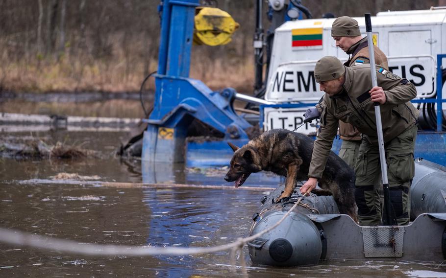 Two personnel with a dog stand in a small boat on a bog or river.