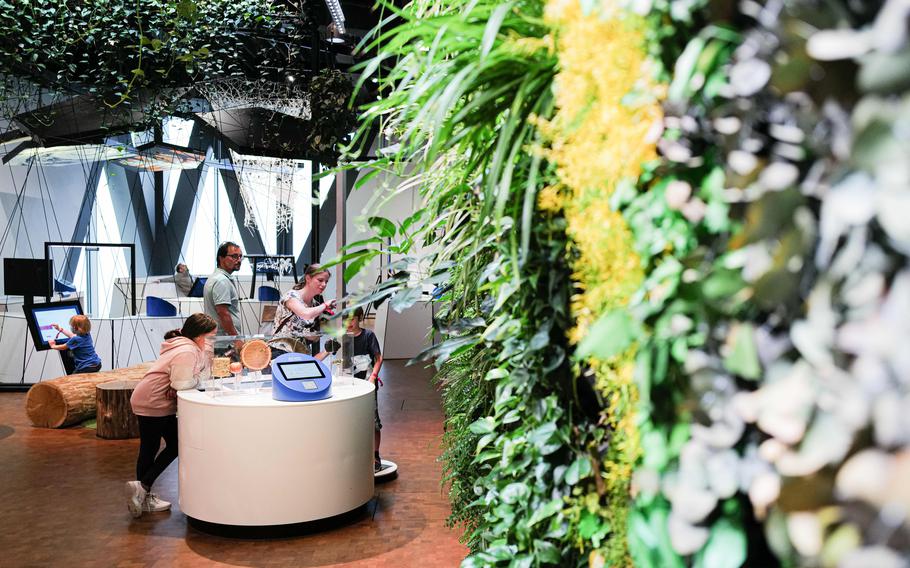 A family explores the world of microorganisms at the Experimenta Science Center, observing microscopic life and learning about complex biological systems.
