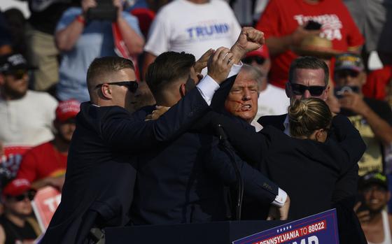 Republican presidential candidate, former U.S. President Donald Trump is whisked away by Secret Service after shots rang out at a campaign rally at Butler Farm Show Inc. on July 13, 2024, in Butler, Pennsylvania. Trump slumped and injuries were visible to the side of his head.  (Jeff Swensen/Getty Images/TNS)