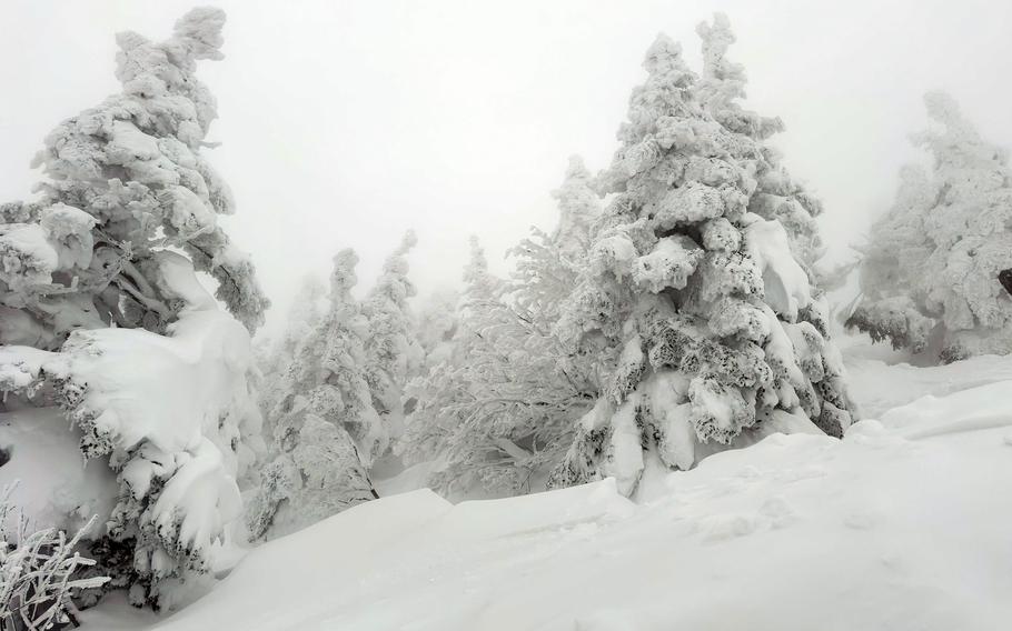 この日付のない写真では、東北地方の八甲田山スキー場近くの山々が雪で覆われています。 