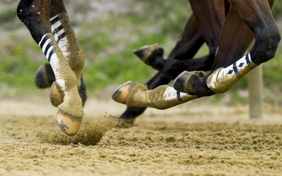 Horse racing has been in scandal for years, amid horse deaths and doping allegations. 