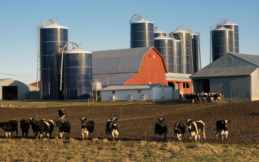 View of a dairy farm in Minnesota. Environmental groups sue EPA over water pollution from large livestock farms.