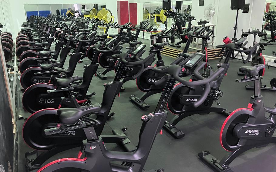Stationary bikes stand in two long rows in a gym.
