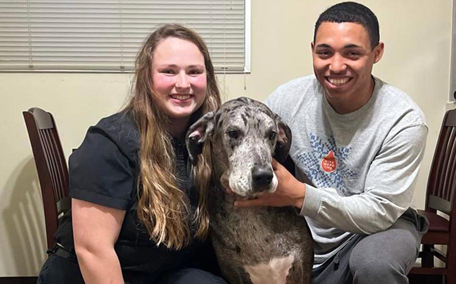 Senior Airman Avaunte Frizzell and his spouse, Josie Hayward, pose with their Great Dane, Henry, inside their apartment at Yokota Air Base, Japan, Monday, Jan. 31, 2022.  