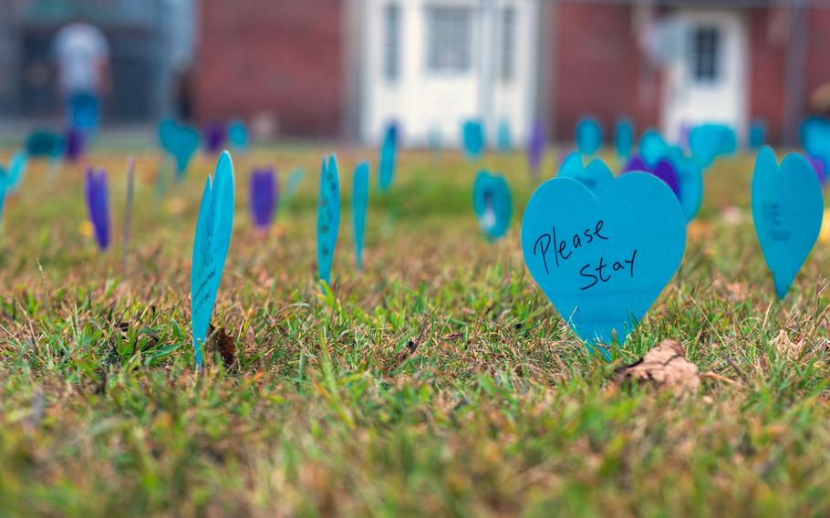 Blue shaped hearts inserted into the grass.