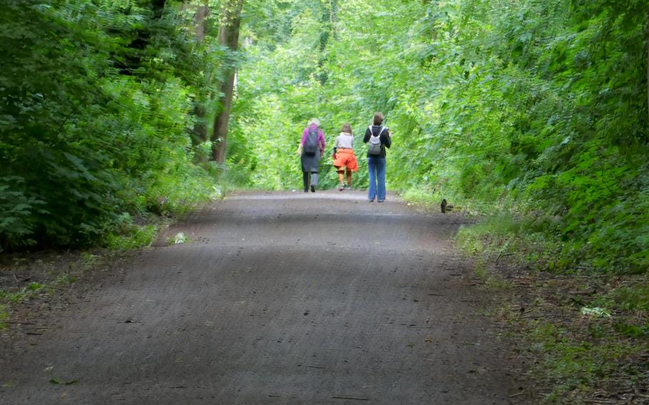 People wander along a path that leads through the woods near the Goetheturm in Frankfurt.