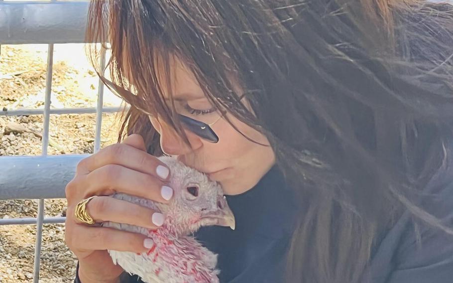 Barbara Slaine enjoys a turkey cuddling session with Sun at the Gentle Barn in California. 