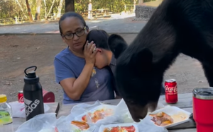 This screen grab from a video shows the moment when a Mexican mother bravely shielded her son after a bear leapt on a picnic table and devoured the tacos and enchiladas meant for the boy’s birthday dinner, inches from his face.