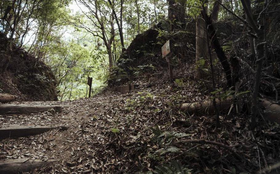 A steep hill in the forest of Nago-dake