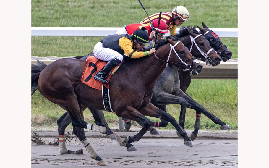 Horses pound a muddy track at Monmouth Park in Oceanport, N.J.