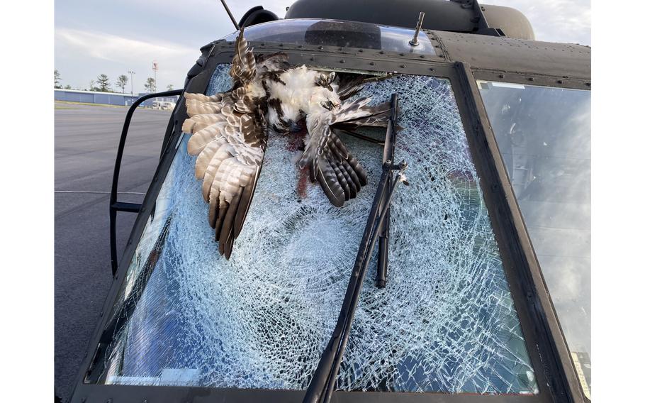 An osprey collided with a UH-60L Black Hawk helicopter flown by a crew of four South Carolina National Guard members as they conducted a routine training flight over the shores of Lake Marion, June 1, 2023. The osprey remained partially lodged in the windshield as the crew landed at an airport approximately 10 minutes away.