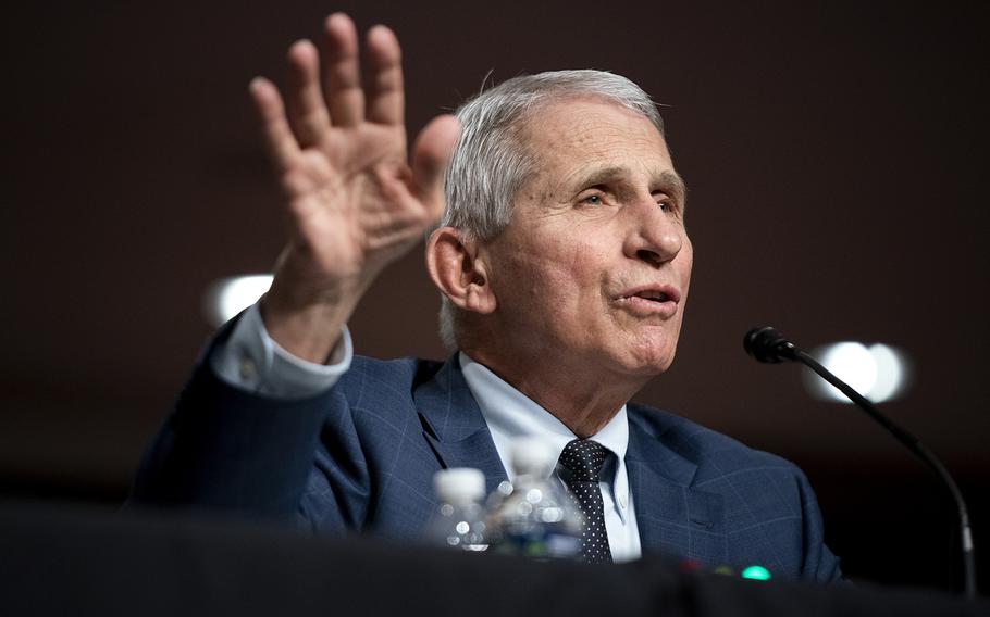 Dr. Anthony Fauci, President Joe Biden's chief medical adviser, testifies at a Senate committee hearing on Capitol Hill on Jan. 11, 2022, in Washington, D.C. 