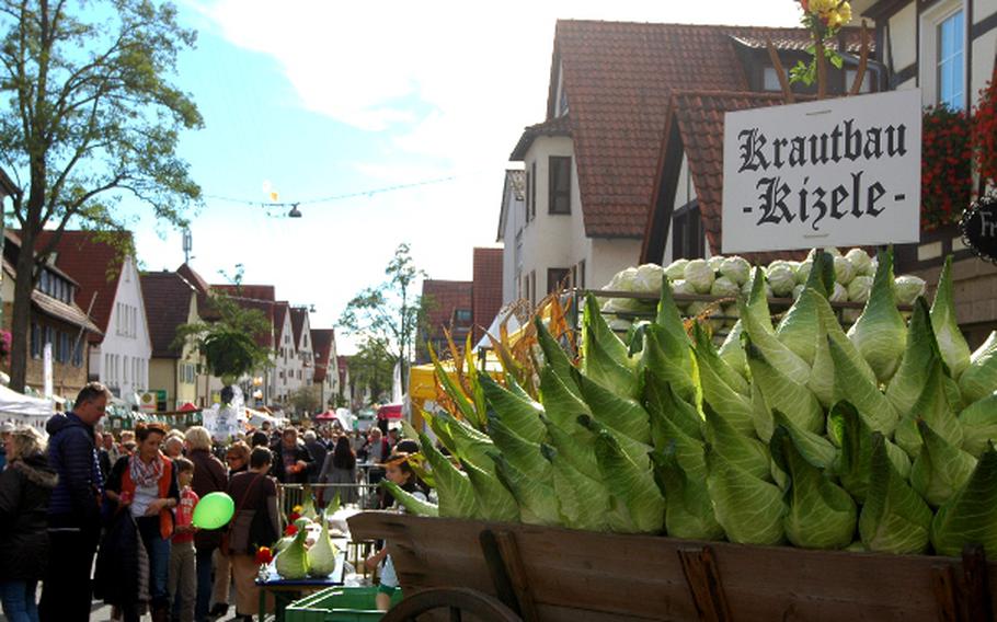 The German city of Leinfelden-Echterdingen holds its Filderkrautfest each year to celebrate the glories of the pointy and mild-tasting cabbage variety.