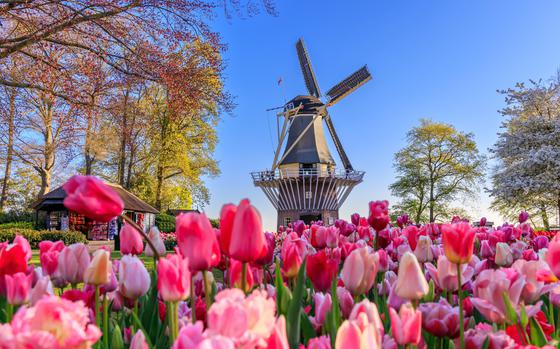 More than a million visitors admire the grounds of the Keukenhof flower gardens each year in Lisse, the Netherlands.