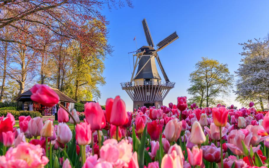 More than a million visitors admire the grounds of the Keukenhof flower gardens each year in Lisse, the Netherlands.