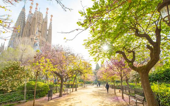 Consider checking out some of these celebrations and events now that spring is in full swing across Europe. Pictured: A blooming spring garden in Barcelona, Spain.