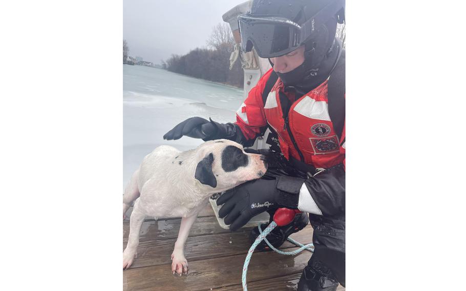 A Coast Guard crew from Station Belle Isle rescues a dog that fell through the ice into the Detroit River.