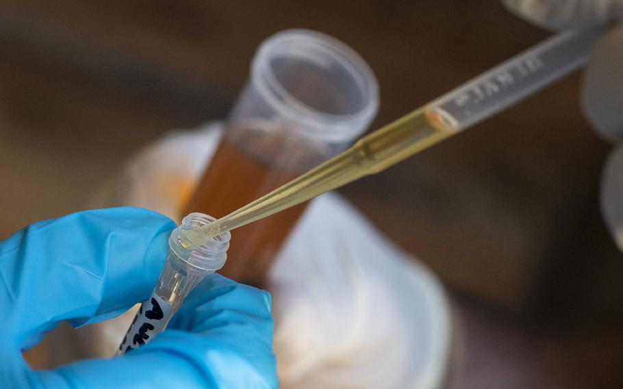 U.S. Geological Survey research biologist Robert Fisher and colleague Jared Heath extract drops of ethanol from vials containing invertebrates, part of Fisher’s 25-year collection stored in a concrete and steel WWII munitions bunker on the former El Toro Marine Corps Air Station, on Wednesday, Dec. 14, 2022, in Irvine, Calif.