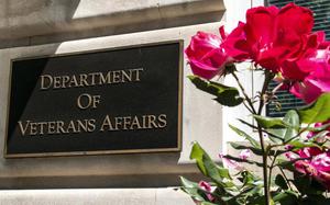 A plaque reads “Department of Veterans Affairs” on the side of a building next to a red flower.